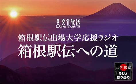 さとう はるき|期待のルーキー特集第2弾！ 東京国際大学・佐藤榛紀選手「すご。